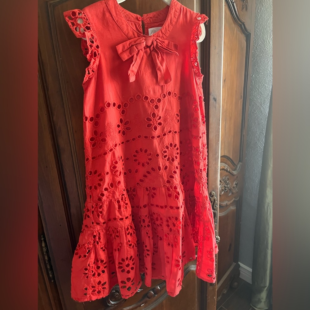 Zara Vibrant Red Dress